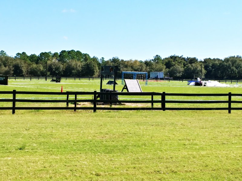 Photo of Savage Race Florida