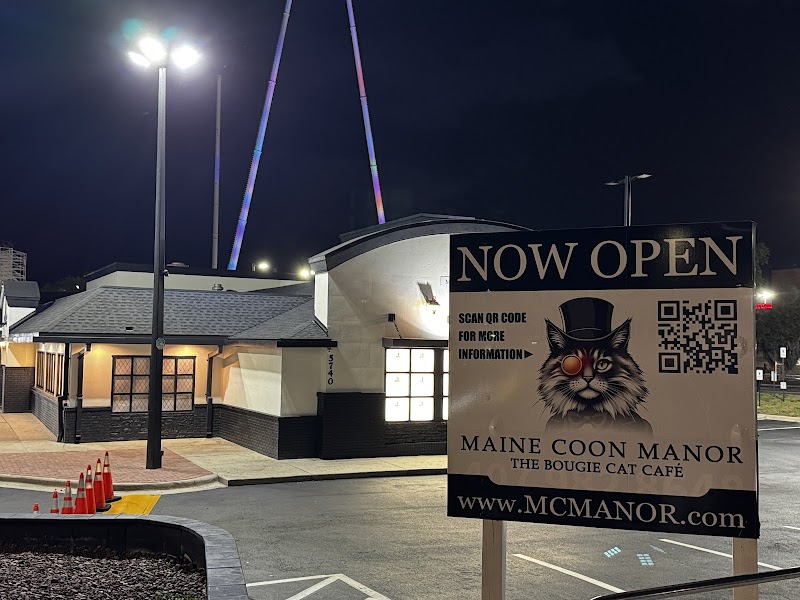 Photo of Maine Coon Manor Cat Cafe