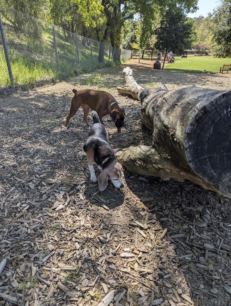 Photo of Hap Magee Ranch Dog Park
