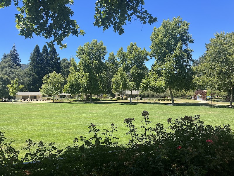 Hap Magee Ranch Dog Park photo 3