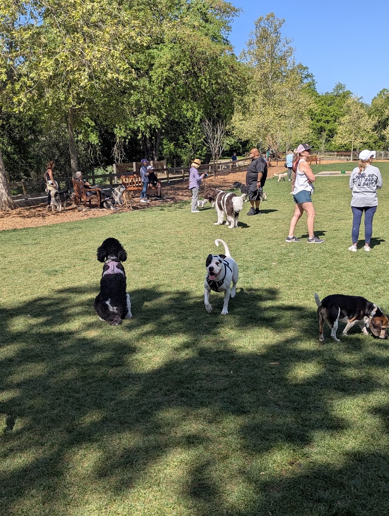 Hap Magee Ranch Dog Park photo 2