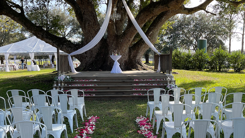 Photo of Prodigy Event Planning