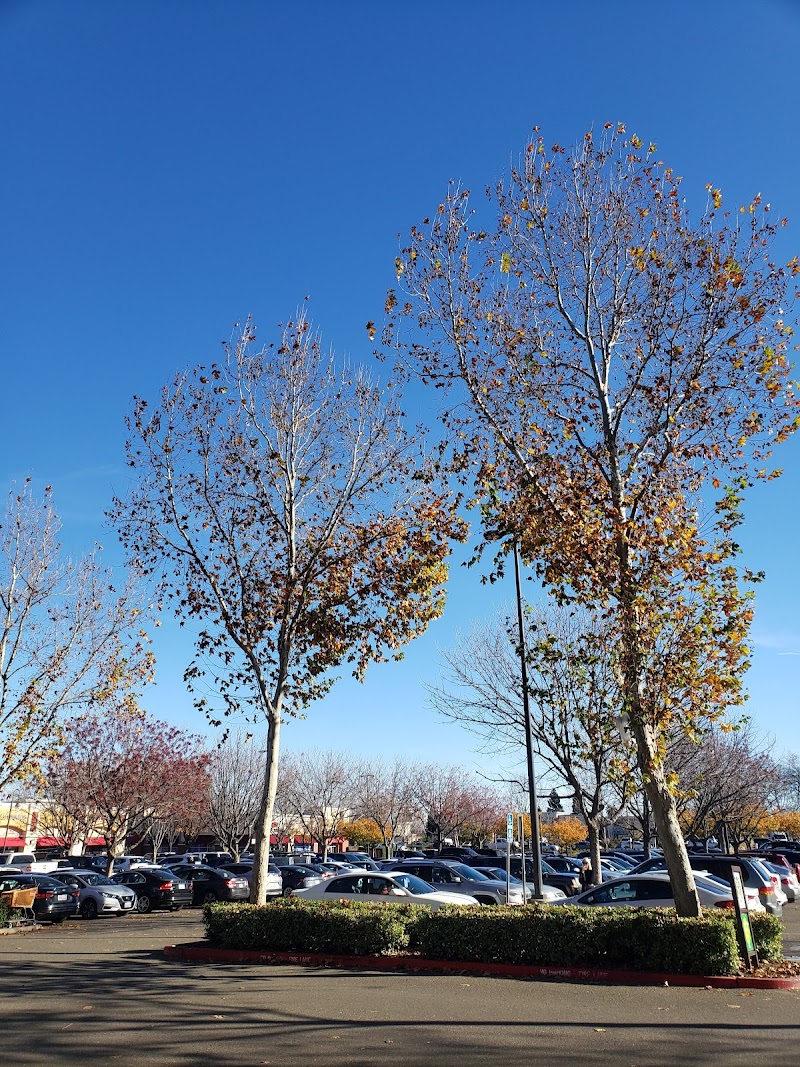 Orange Tree Plaza photo 4
