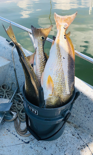 San Antonio Fishing Charters photo 5