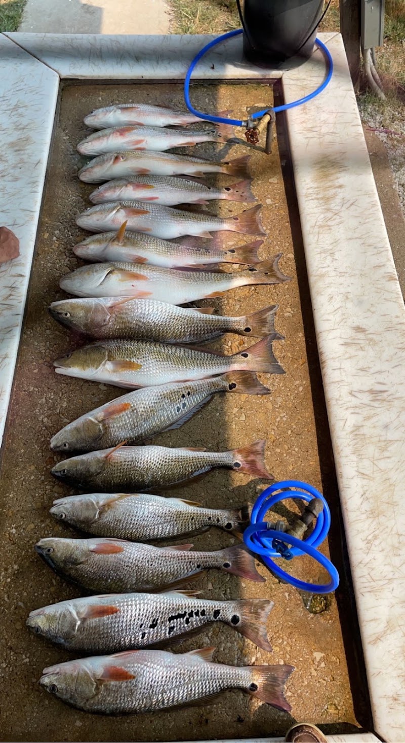 San Antonio Fishing Charters photo 3