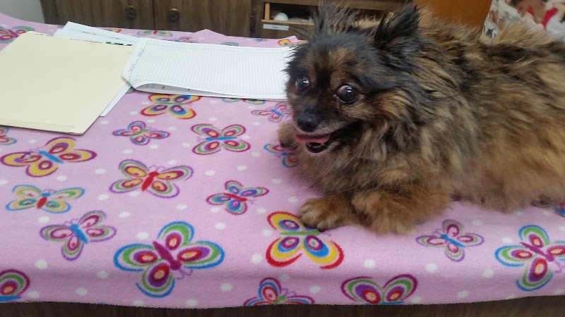 Chabot Veterinary Clinic photo 3