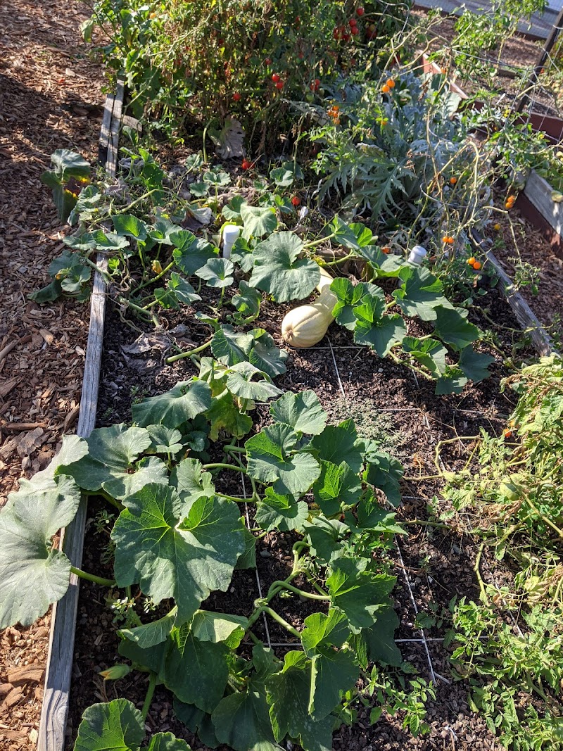 Avant community Garden photo 2