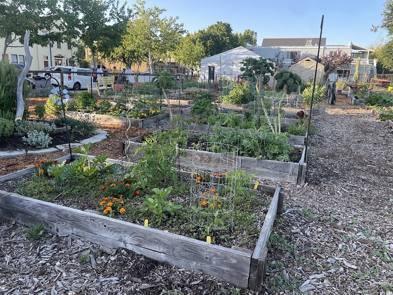 Photo of Avant community Garden