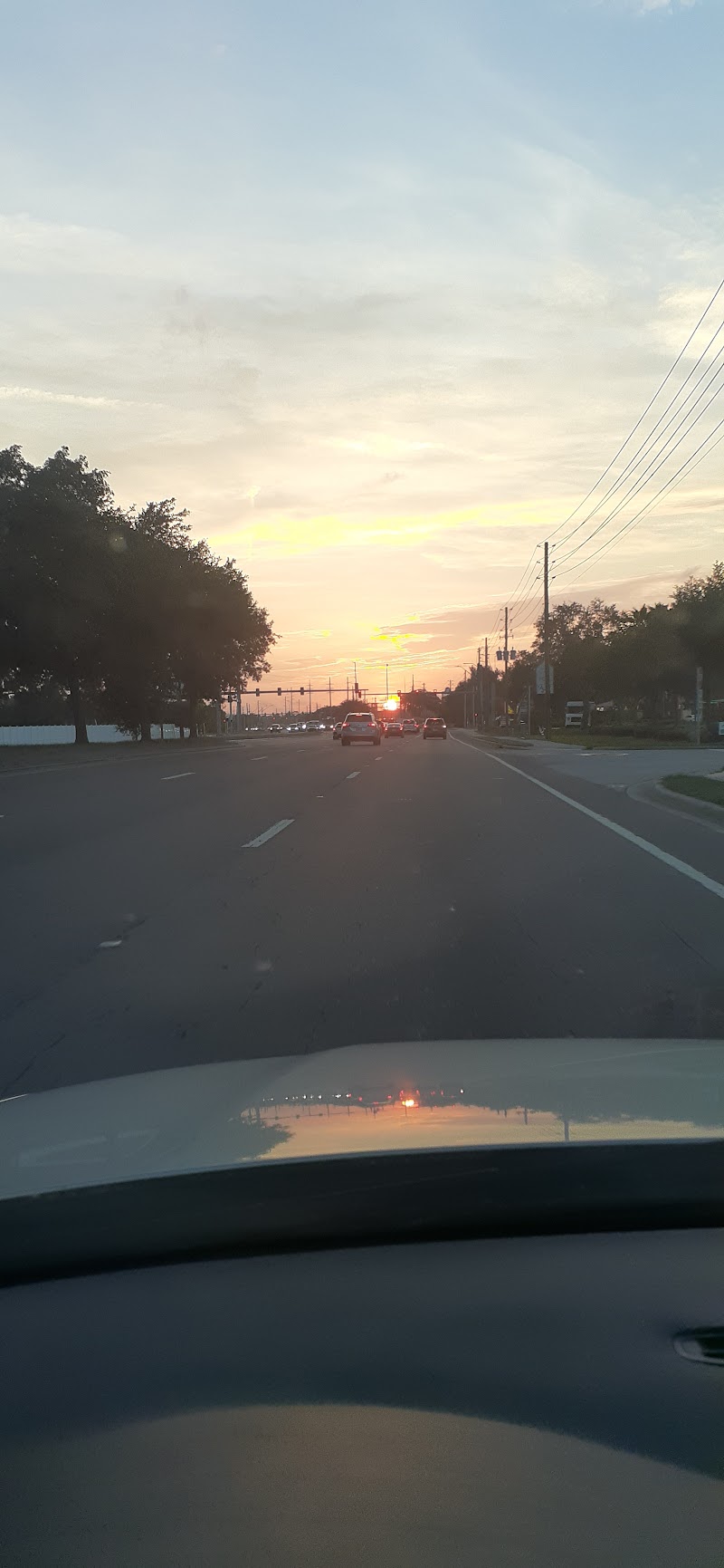 Photo of SR 54 & Trailer Park Dr.