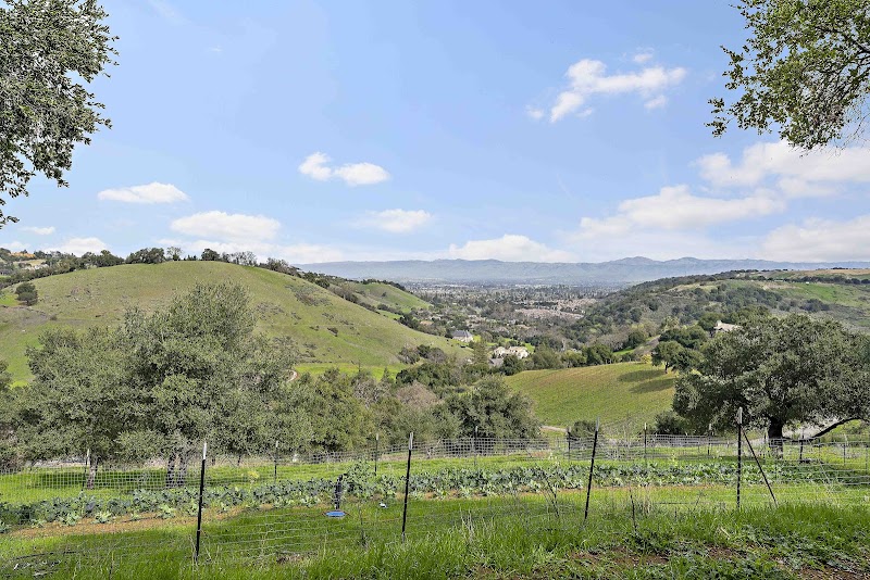 Ma'alot Farms photo 3