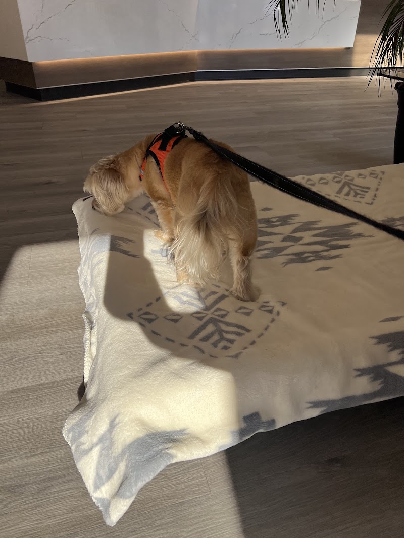 Apex Veterinary Specialists photo 5