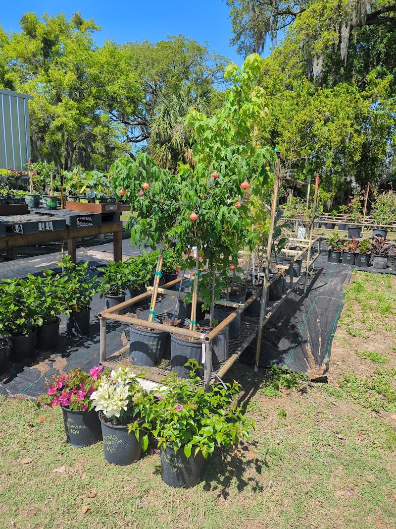 Brownlee Garden Center photo 2