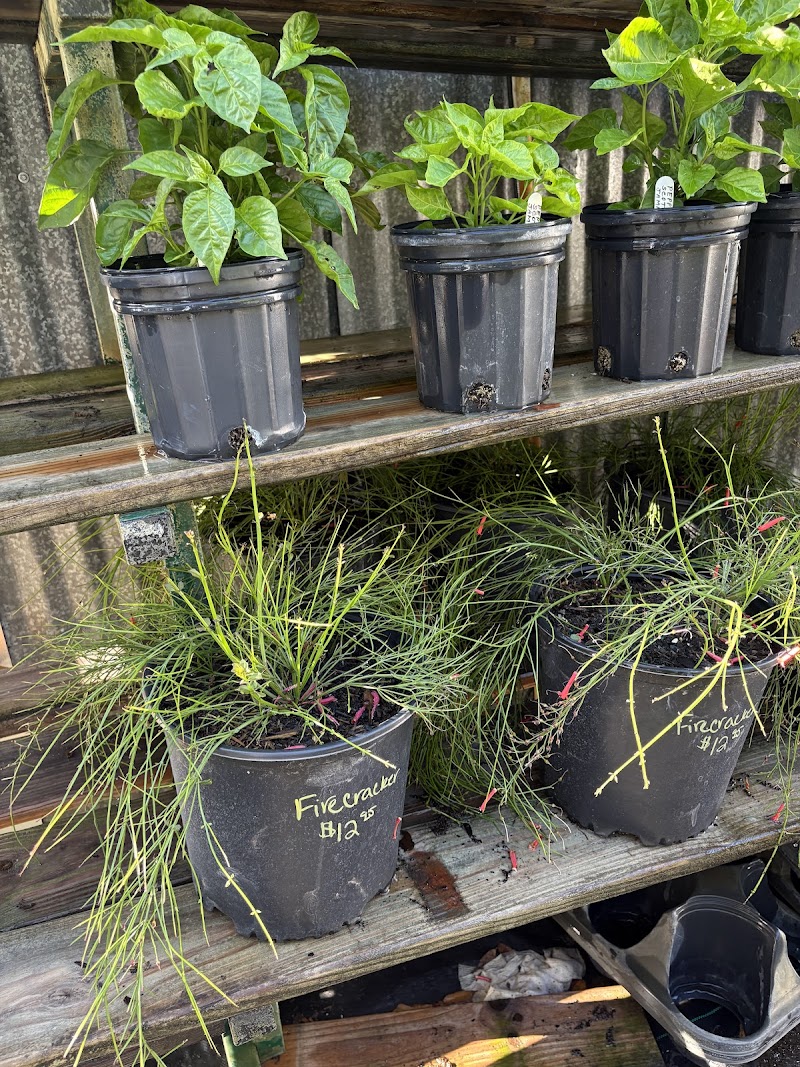 Brownlee Garden Center photo 4