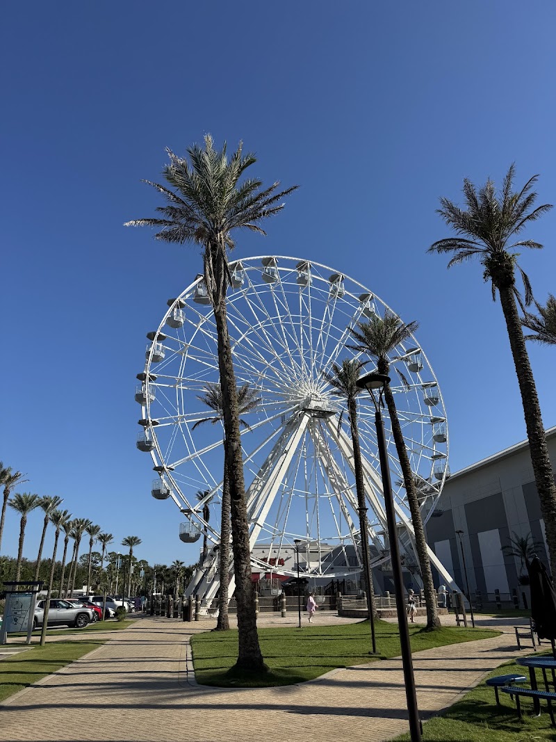Ferris Wheel photo 2