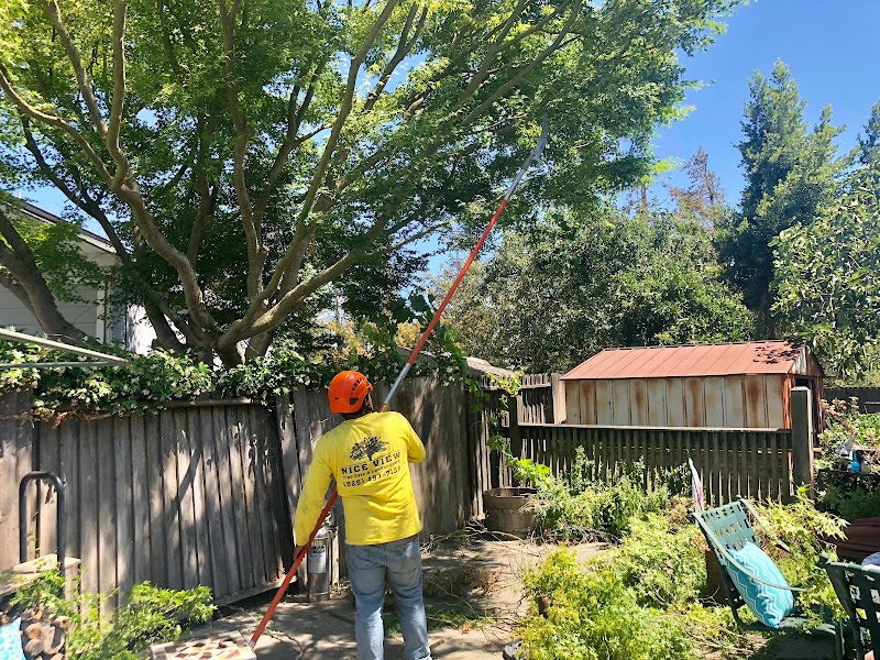 Nice View Tree Care photo 4