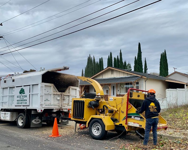 Nice View Tree Care photo 3