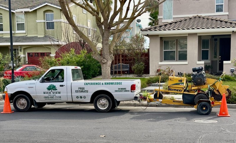 Nice View Tree Care photo 2