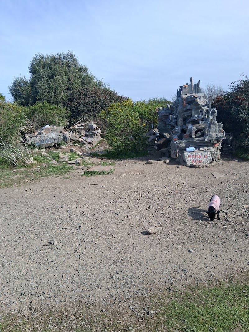 Albany Bulb Mini Labyrinth photo 5