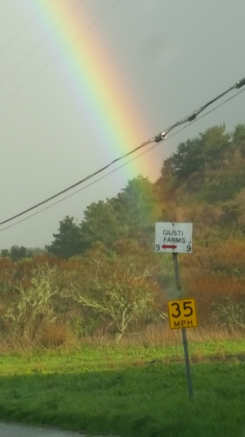 Giusti Farms photo 2