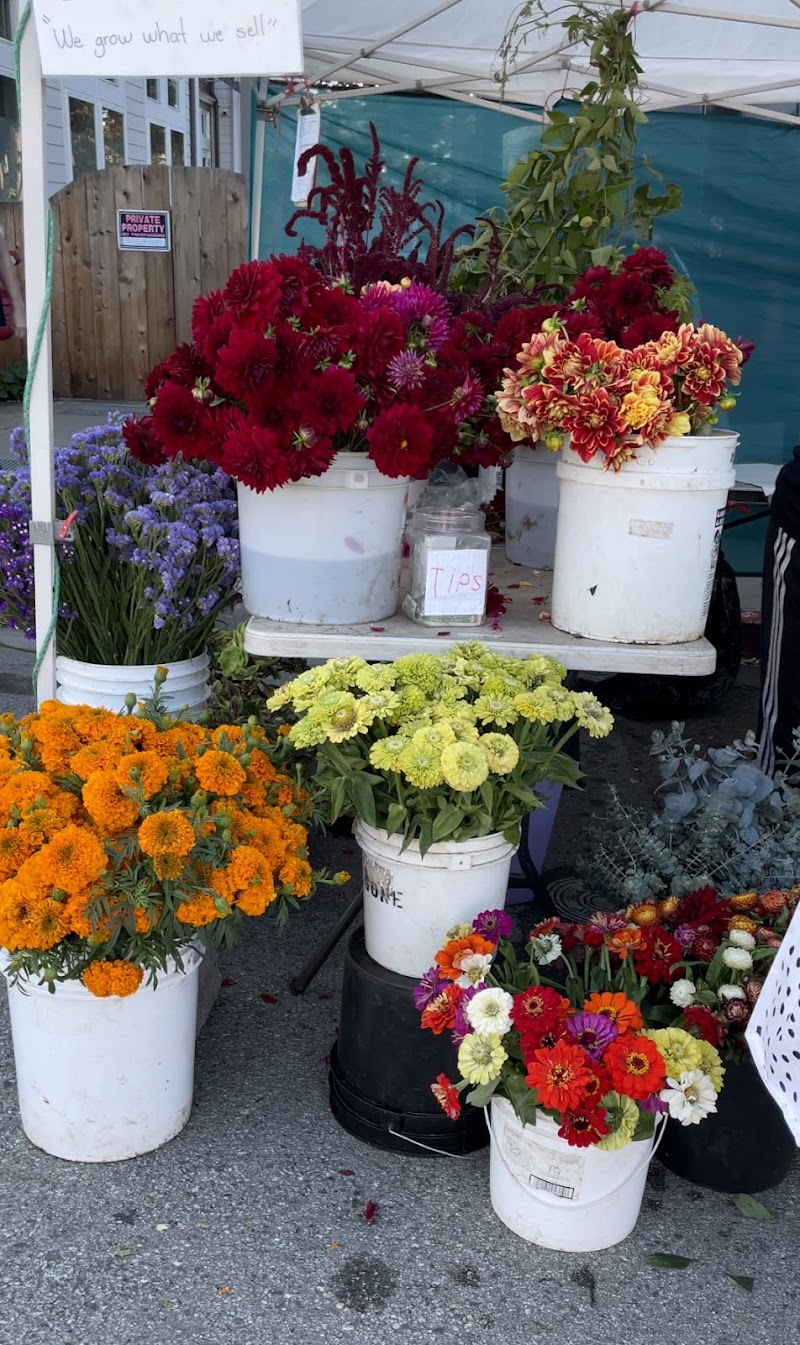 Coastside Farmer's Market, Rockaway Beach photo 5