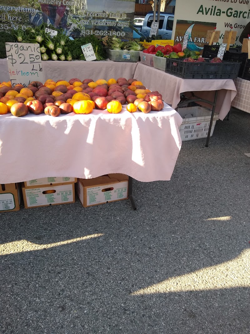 Coastside Farmer's Market, Rockaway Beach photo 3
