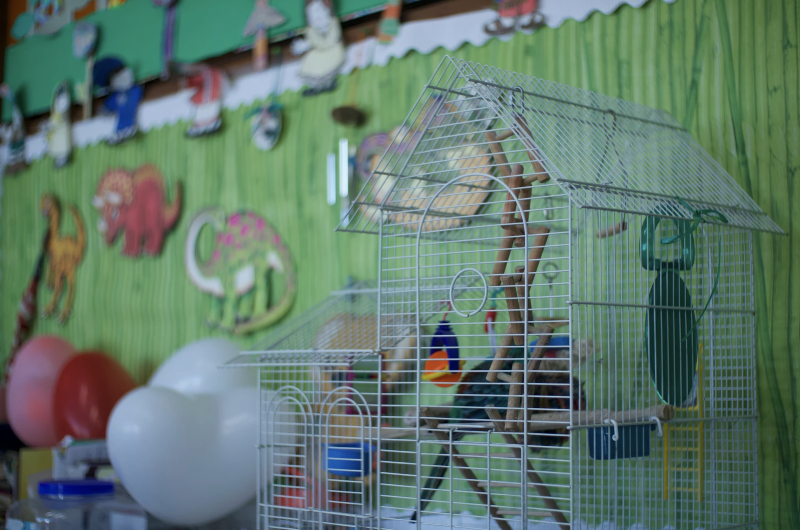 Star Academy Preschool photo 3