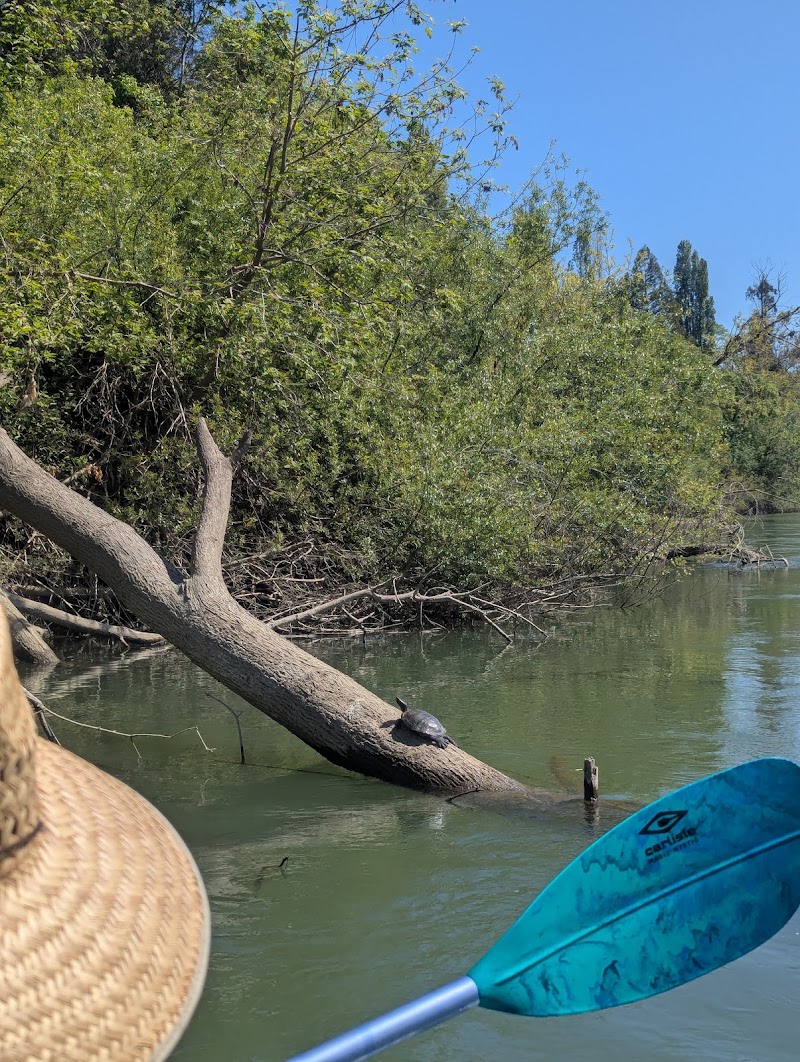 Russian River Tubes & Kayaks photo 5
