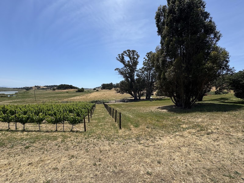 Reis River Ranch Winery photo 5