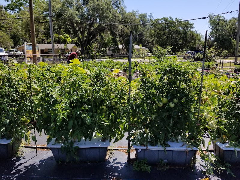 EarthBox Garden Center photo 3
