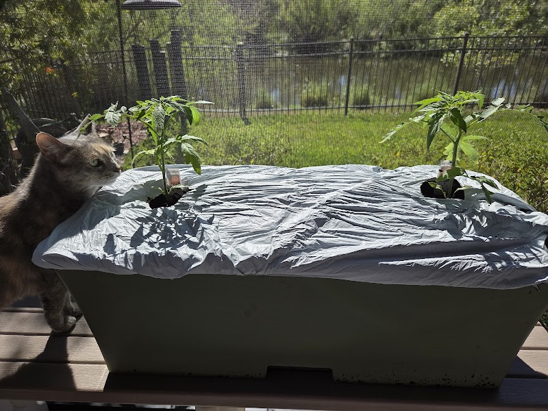 EarthBox Garden Center photo 5