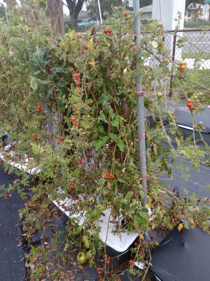 EarthBox Garden Center photo 4