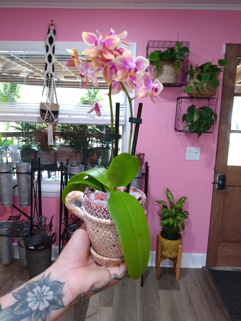 Earthscapes Garden Room photo 3