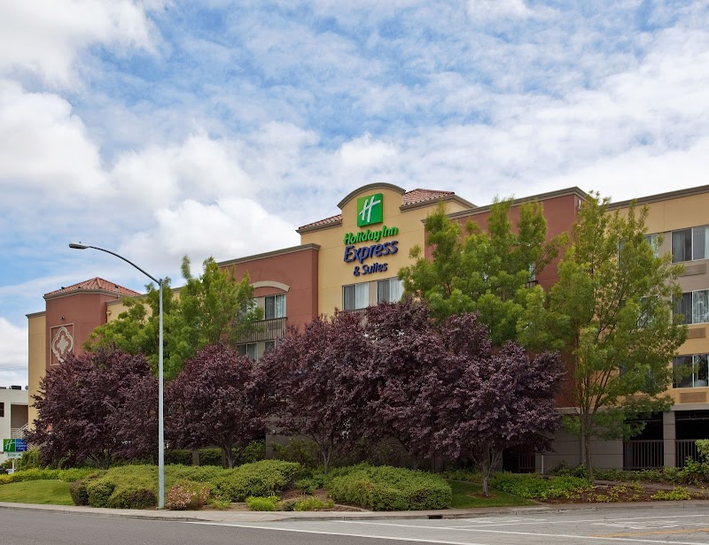 Photo of Holiday Inn Express & Suites Belmont by IHG