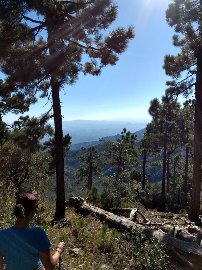 Whitetail Campground photo 2