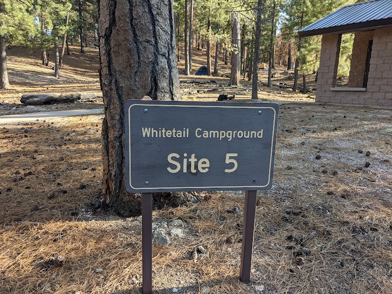 Whitetail Campground photo 3