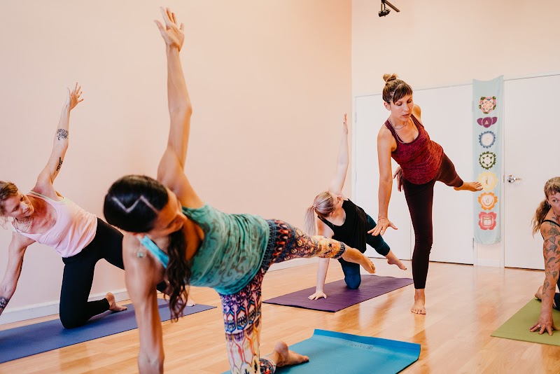 The Body Language Studio photo 2
