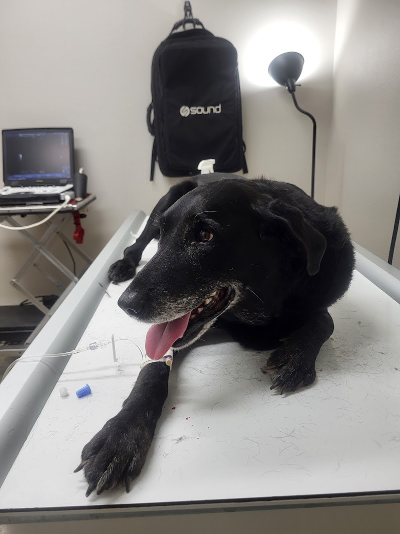 Photo of Crockett Veterinary Hospital