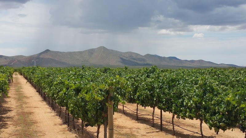 Golden Rule Vineyards photo 2