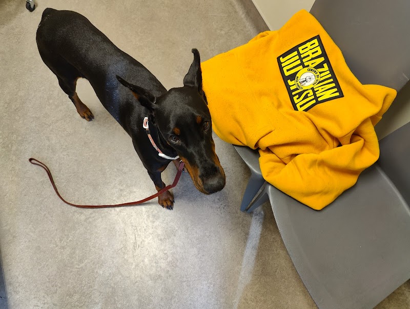 South Davis Veterinary Center photo 4