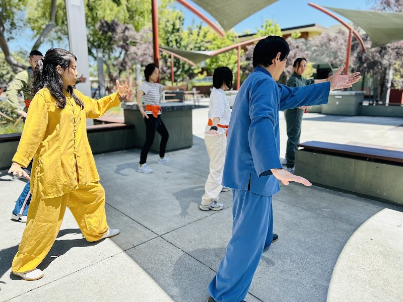 International Institute of Tai Chi Qigong for Integrative Health photo 5