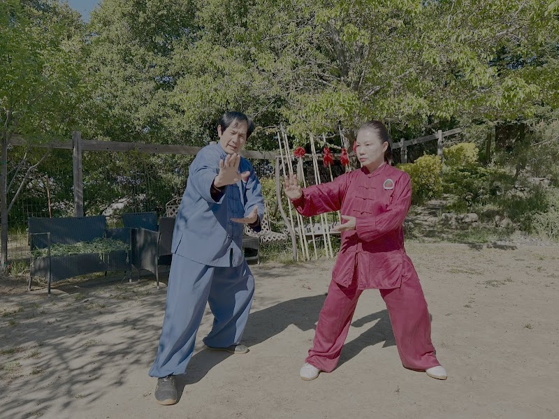 International Institute of Tai Chi Qigong for Integrative Health photo 2