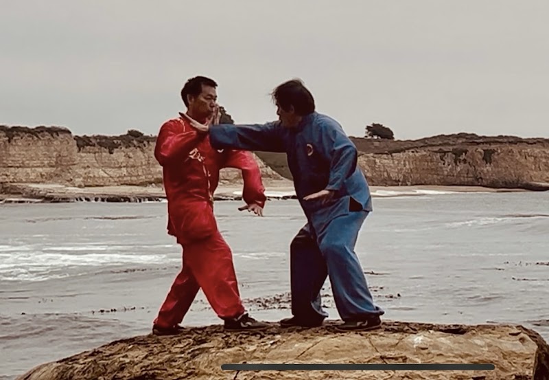 International Institute of Tai Chi Qigong for Integrative Health photo 3