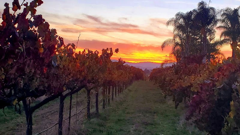 Satori Cellars photo 5