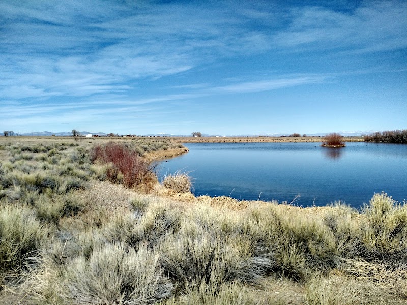 Monte Vista National Wildlife Refuge photo 4