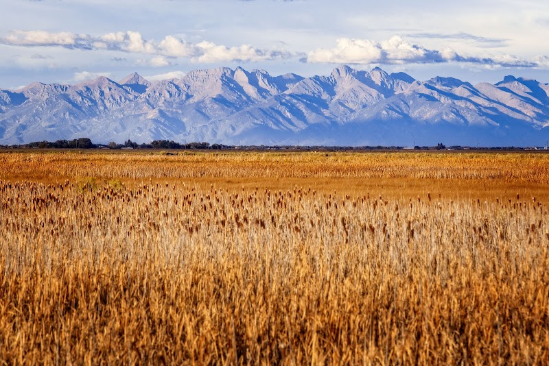 Photo of Monte Vista National Wildlife Refuge