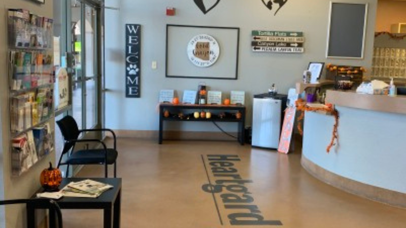 Photo of Companion Pet Clinic of Gold Canyon