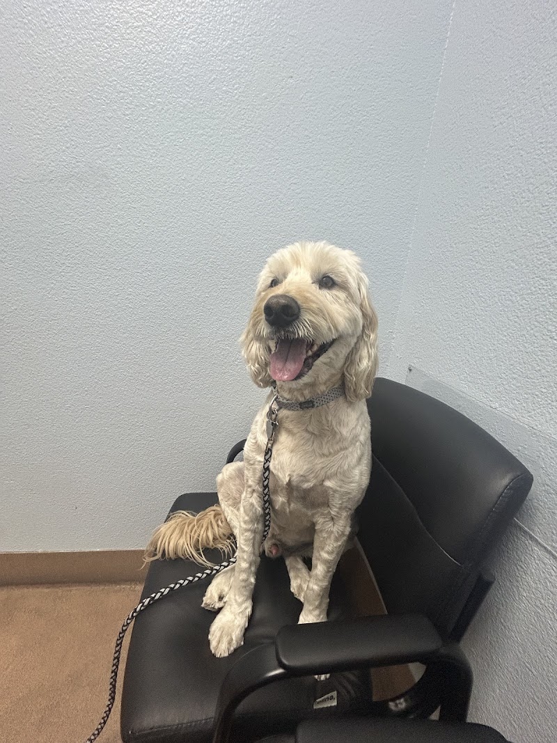 Companion Pet Clinic of Gold Canyon photo 4