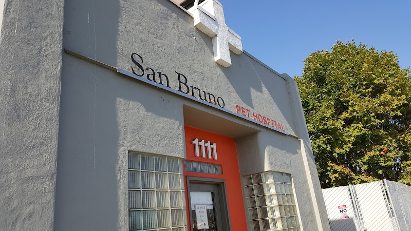San Bruno Pet Hospital photo 2