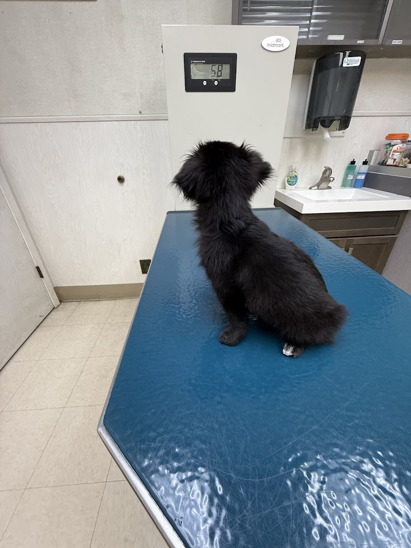 San Bruno Pet Hospital photo 3