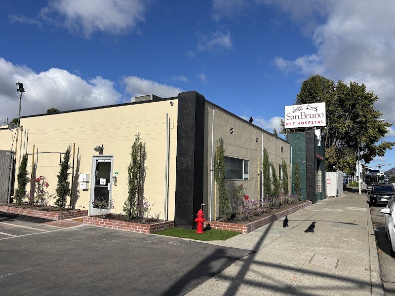 Photo of San Bruno Pet Hospital